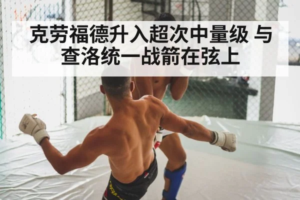boxing fight