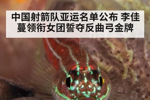 中国射箭队亚运名单公布 李佳蔓领衔女团誓夺反曲弓金牌